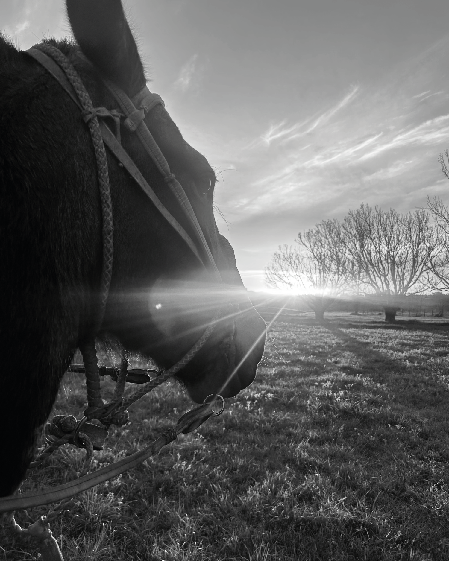 Sustainable Materials